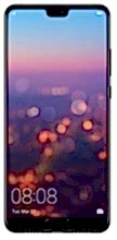 P20