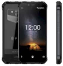 WP1